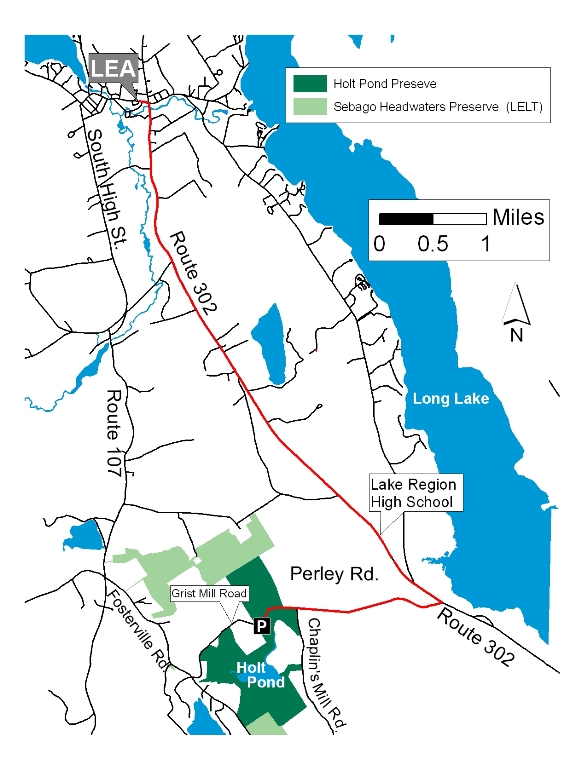 Lakes Environmental Association Holt Pond Preserve